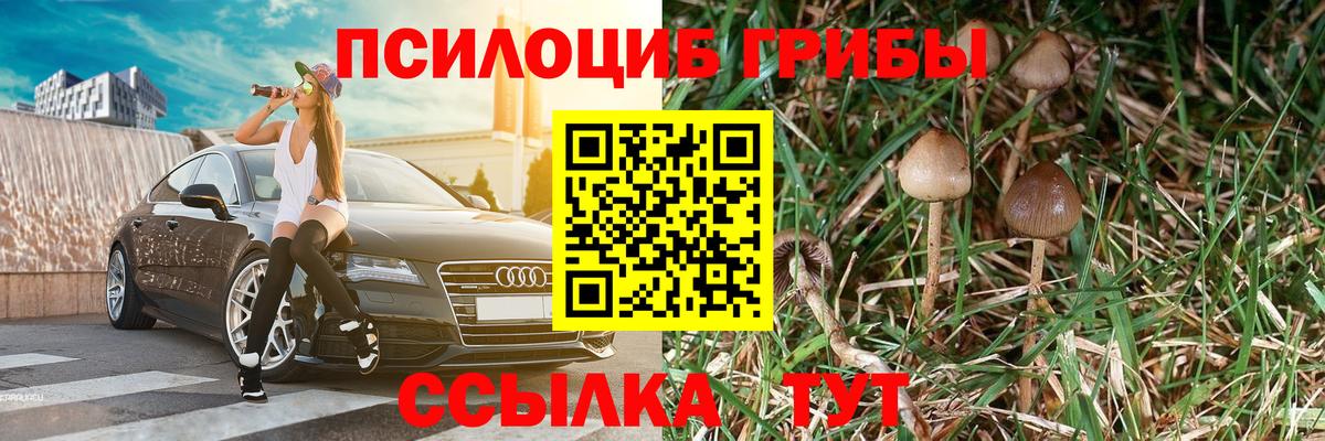 Галлюциногенные грибы GOLDEN TEACHER Всеволожск